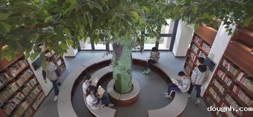 3.知识树下读书”香“ 3.知识树下读书”香“