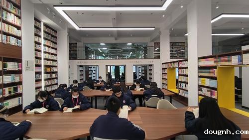 2学生沉浸在图书馆阅读场景