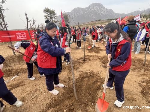 通力合作  完成植树任务